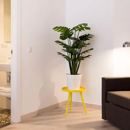 Wallace شقة فالنسيا